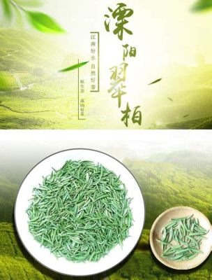 南山滴翠茶葉多少錢